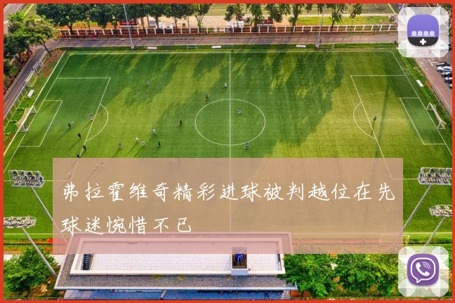 弗拉霍维奇精彩进球被判越位在先球迷惋惜不已
