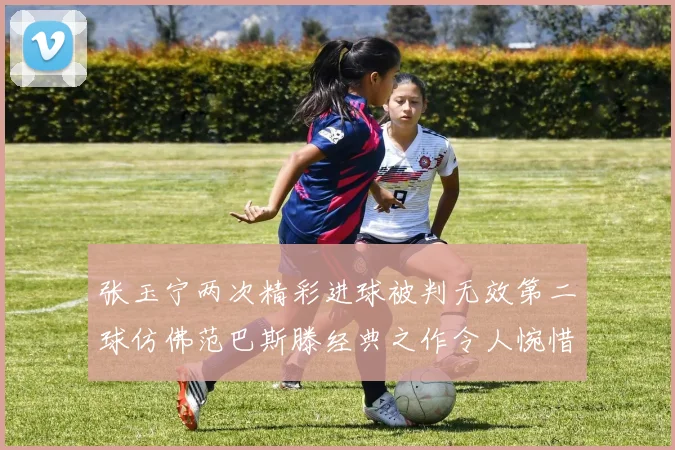 张玉宁两次精彩进球被判无效第二球仿佛范巴斯滕经典之作令人惋惜